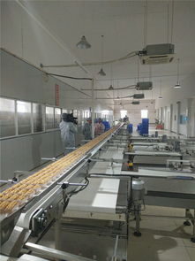 宜昌華爾食品公司榮獲食品示范企業稱號，引領餅干行業高質量發展