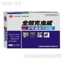 西安坤昱生物制品連鎖有限責(zé)任公司 日用品技術(shù)研發(fā)的創(chuàng)新驅(qū)動(dòng)與未來(lái)展望